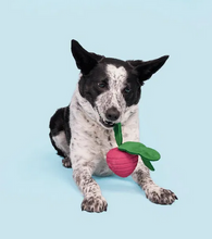 Load image into Gallery viewer, BARK - Tough Collection - Turnt Up Turnip