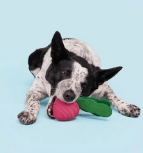 Load image into Gallery viewer, BARK - Tough Collection - Turnt Up Turnip