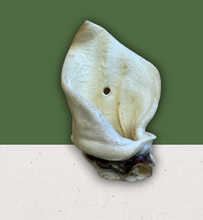 Load image into Gallery viewer, Natural Dog Treats - Meaty Cows Ears 1PC