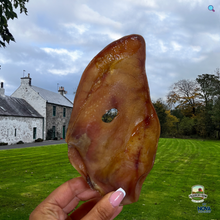 Load image into Gallery viewer, Natural Dog Treats - Large Pig Ear 1PC