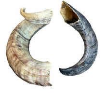 Load image into Gallery viewer, Natural Dog Treats - Lamb Horn 1PC