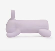 Load image into Gallery viewer, Hugsmart Hoppin' Easter | Hoppy Bunny