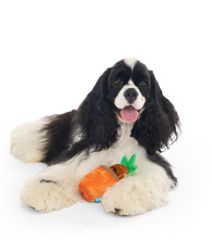 Load image into Gallery viewer, BARK X Harry Potter Mandrake