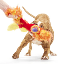 Load image into Gallery viewer, BARK X Harry Potter Fawkes