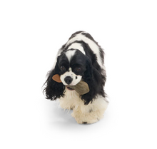 Load image into Gallery viewer, BARK X Harry Potter Nimbus 2000 - Rubber