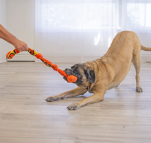 Load image into Gallery viewer, KONG Knots Snake Assorted Dog Toy Medium/Large