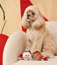 Load image into Gallery viewer, Hugsmart Pet - Woof Love | Sweet Chocoberries