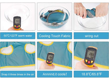 Load image into Gallery viewer, NEW DogLemi Cooling Dog Harness Vest