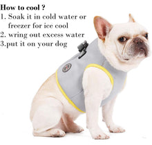 Load image into Gallery viewer, NEW DogLemi Cooling Dog Harness Vest