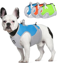Load image into Gallery viewer, Summer Cooling Dog Harness