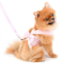 Load image into Gallery viewer, NEW Bow Dog Harness