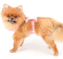 Load image into Gallery viewer, NEW Bow Dog Harness
