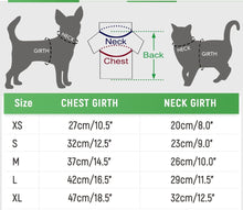 Load image into Gallery viewer, NEW Bow Dog Harness