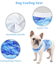 Load image into Gallery viewer, NEW DogLemi Cooling Vest