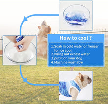 Load image into Gallery viewer, NEW DogLemi Cooling Vest