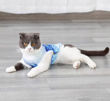 Load image into Gallery viewer, NEW DogLemi Cooling Vest