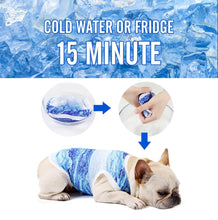Load image into Gallery viewer, NEW DogLemi Cooling Vest