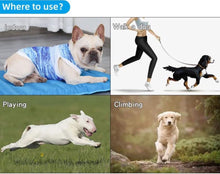 Load image into Gallery viewer, NEW DogLemi Cooling Vest
