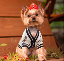 Load image into Gallery viewer, NEW Teddy Dog Jumper