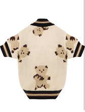 Load image into Gallery viewer, NEW Teddy Dog Jumper