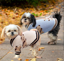 Load image into Gallery viewer, NEW Teddy Dog Jumper