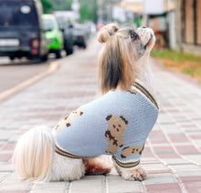 Load image into Gallery viewer, NEW Teddy Dog Jumper