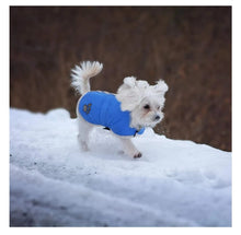 Load image into Gallery viewer, Paws Dog Jacket Cape