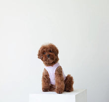 Load image into Gallery viewer, New Bear Dog T-Shirt