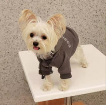 Load image into Gallery viewer, Essential Dog Hoodie