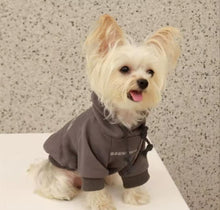 Load image into Gallery viewer, Essential Dog Hoodie