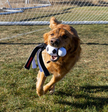 Load image into Gallery viewer, KONG Wubba Sport Football Large