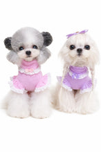Load image into Gallery viewer, Cutie Frill & Bow Dog Jumper
