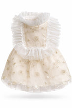 Load image into Gallery viewer, Aurora Dog Dress