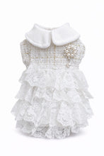 Load image into Gallery viewer, Mademoiselle Tweed Lace Ruffle Dog Dress