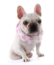 Load image into Gallery viewer, NEW Dog cooling Snood