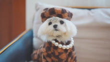 Load and play video in Gallery viewer, FashiON Star dog jumper