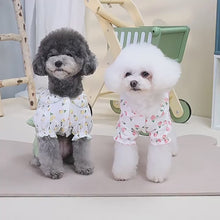 Load and play video in Gallery viewer, Summer Fruit Dog All in One , Dog Onesie