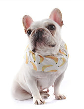 Load image into Gallery viewer, NEW Dog cooling Snood