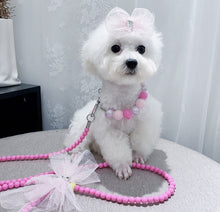 Load image into Gallery viewer, NEW Beaded Leads