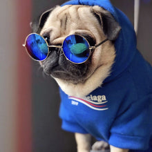 Load image into Gallery viewer, Pawenciaga dog hoodie