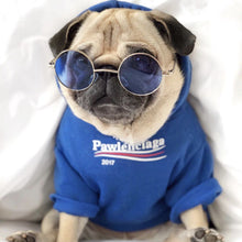 Load image into Gallery viewer, Pawenciaga dog hoodie