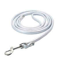 Load image into Gallery viewer, NEW Dog PU leadsl