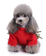 Load image into Gallery viewer, Angel dog jumper