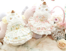 Load image into Gallery viewer, NEW D RING Teddy Lux dog dress