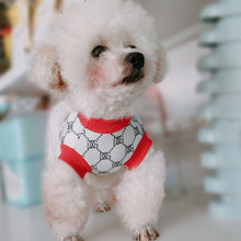Load image into Gallery viewer, NEW Pupcci dog dress