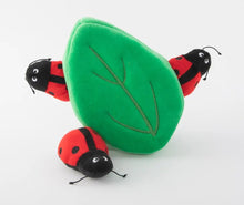 Load image into Gallery viewer, Zippy Burrow Ladybugs in Leaf