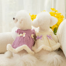 Load image into Gallery viewer, NEW Winter Queen dog dress