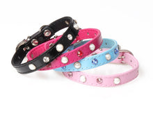 Load image into Gallery viewer, Tiny Puppy Dog Collar