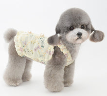 Load image into Gallery viewer, NEW Queen dog top