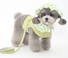 Load image into Gallery viewer, Fruit dog harness set